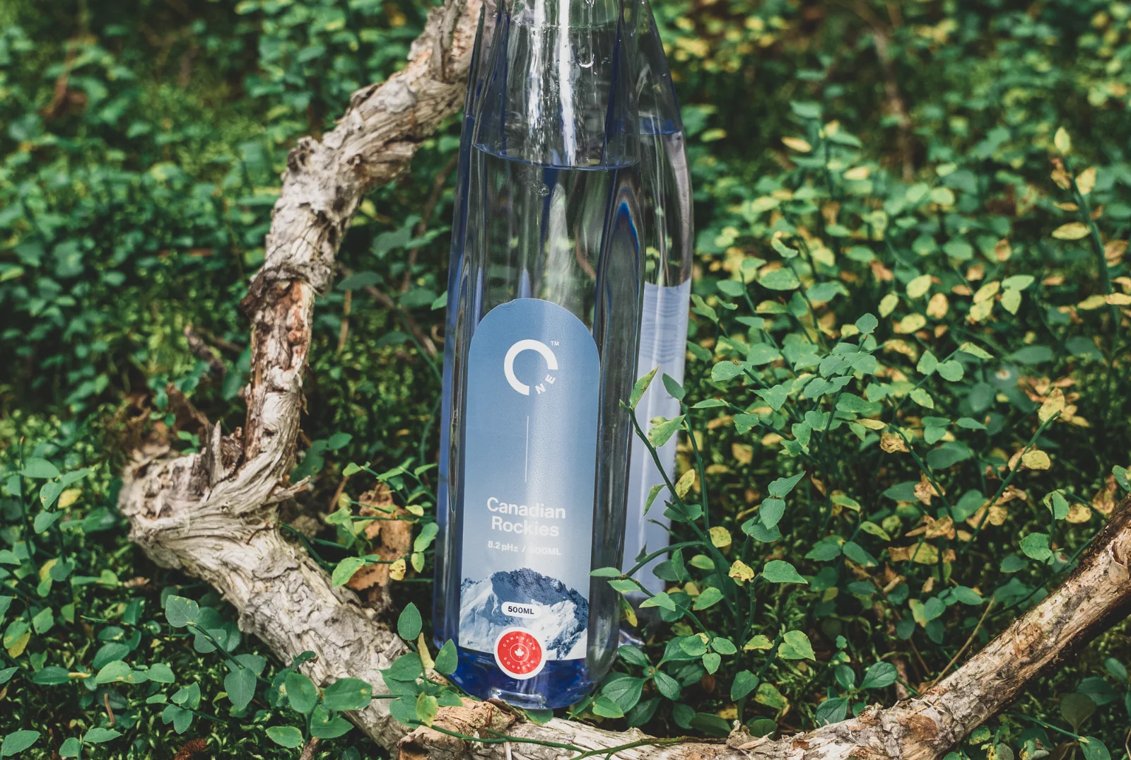 One Water bottle on the forest floor